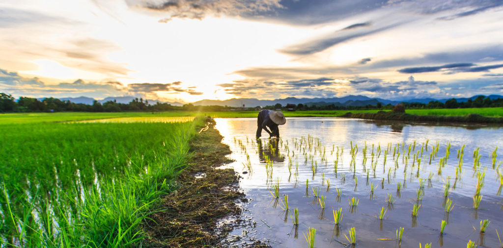 Climate Responsive Budgeting