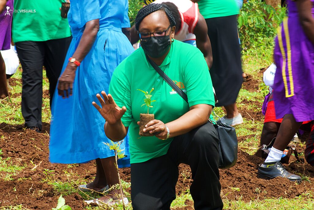 Caroline planting a sapling.