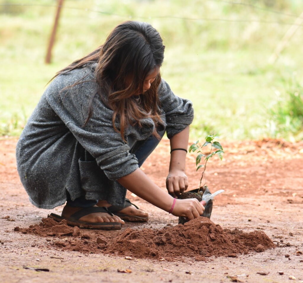 Niña plantando un árbol (archivo personal).