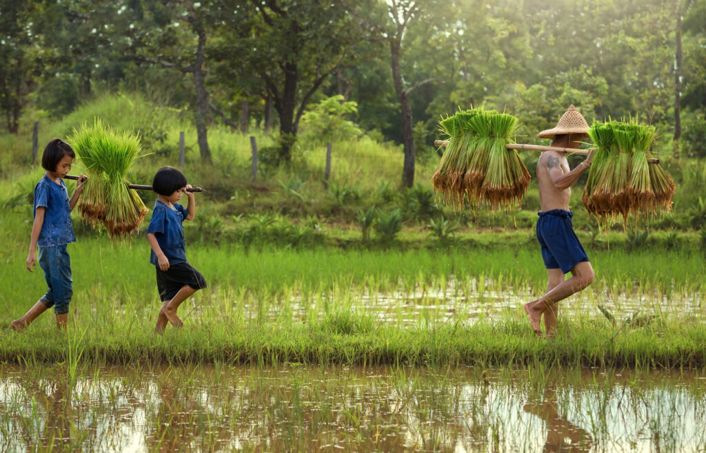 Farmer carrying produce with two kids in Southeast Asia.