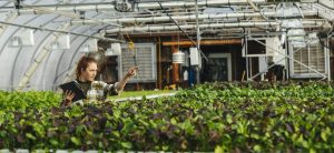Developing Skills for Women Leadership in Climate Action — educator-published image
