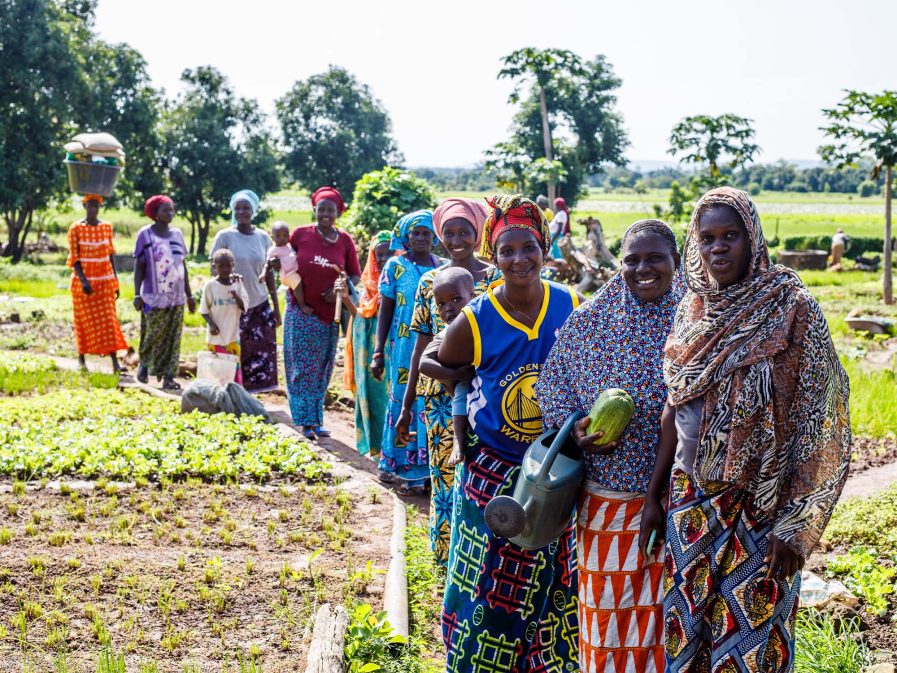 Image of the course Climate Change, Peace and Security – tailored courses and French version