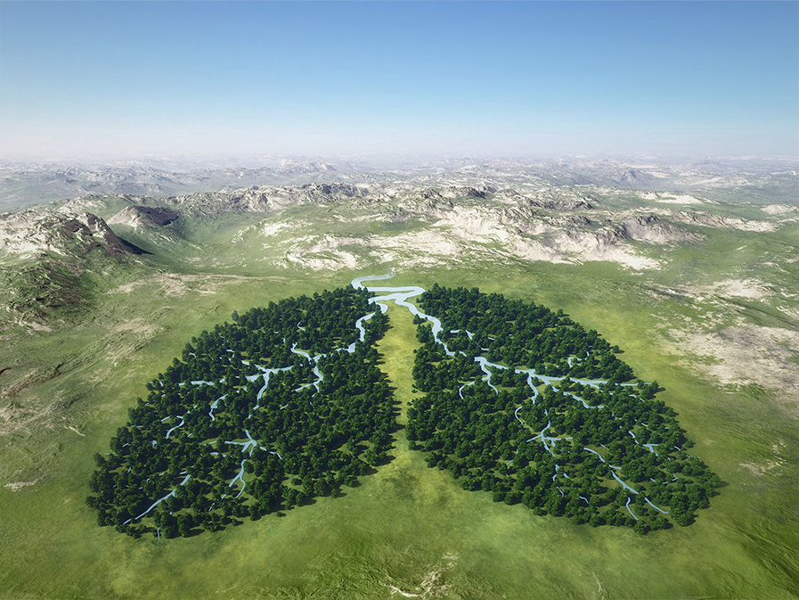 Image of the course Climate Change Negotiations and Health