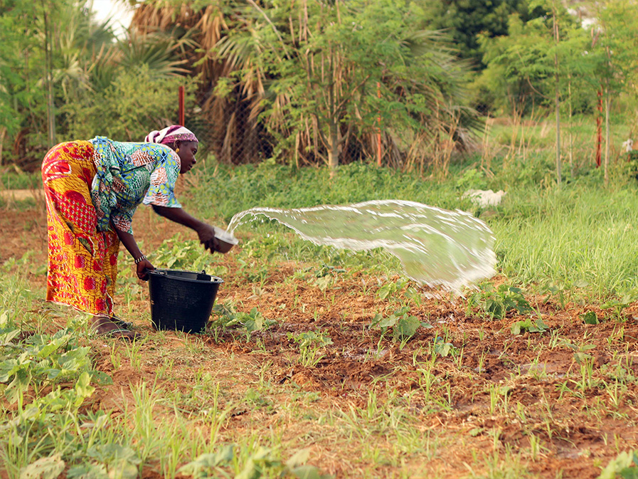 Image of the course Négociations internationales sur le changement climatique : Mettre l'expérience du LoCAL à profit dans les négociations sur le changement climatique