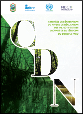Development of a synthesis report evaluating