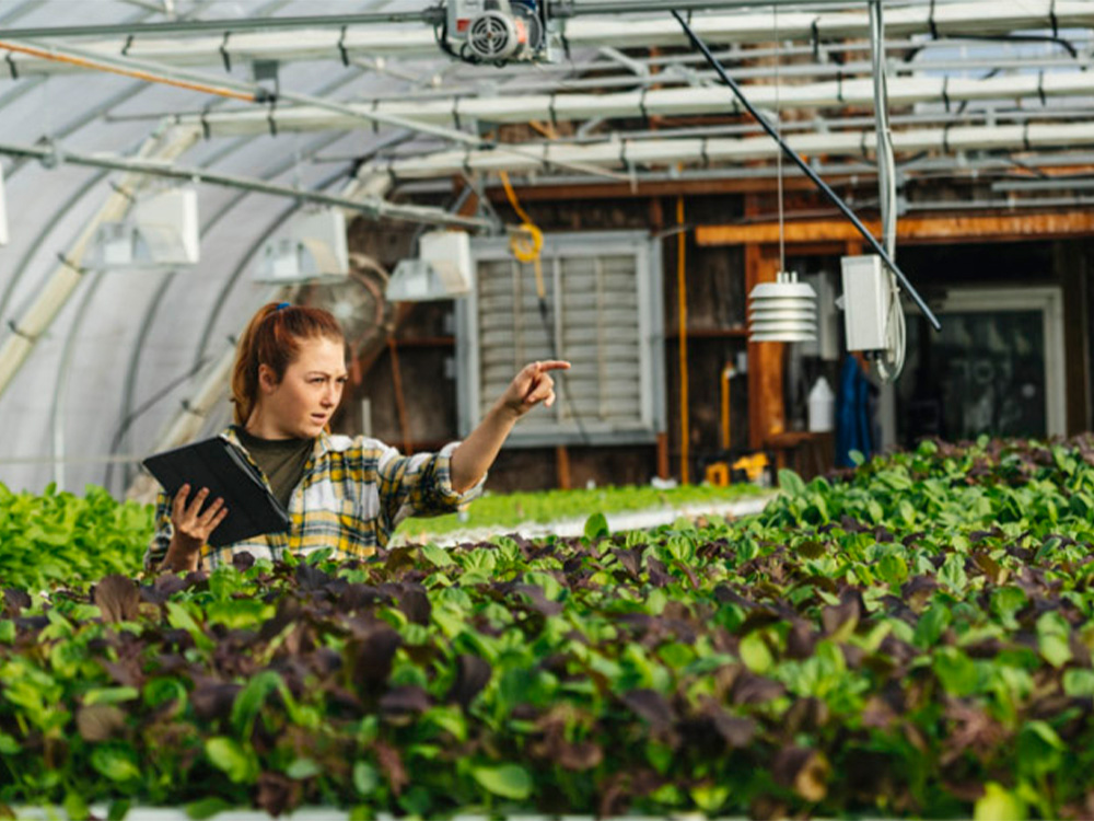 Developing Skills for Women Leadership in Climate Action