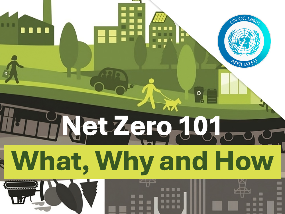 Net Zero 101: What, Why and How?