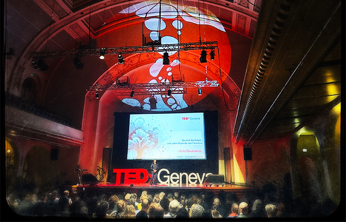 TEDxTalk at the TEDxGeneva CHAOS.